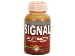 Dip Concept Atractor Signal