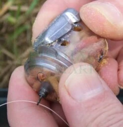 Koszyki Zanętowe RS Speed Feeder -sklep Daiwa koszyki zanetowe rs speed feeder vq