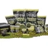 Kulki Pro Ginger Squid Hard Boilies