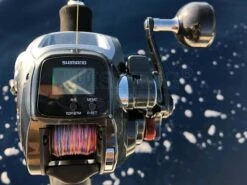 Shimano Multiplikator Elektryczny Plays 600 13 Shimano Multiplikator Elektryczny Plays 600 -sklep Daiwa multiplikator plays 600 j3