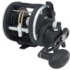 PENN Multiplikatory Rival Level Wind -sklep Daiwa rival level wind 1476258935