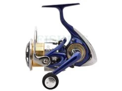 Daiwa Kołowrotki TDR Match & Feeder *