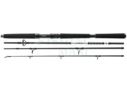 Daiwa Wędki BG Offshore Travel