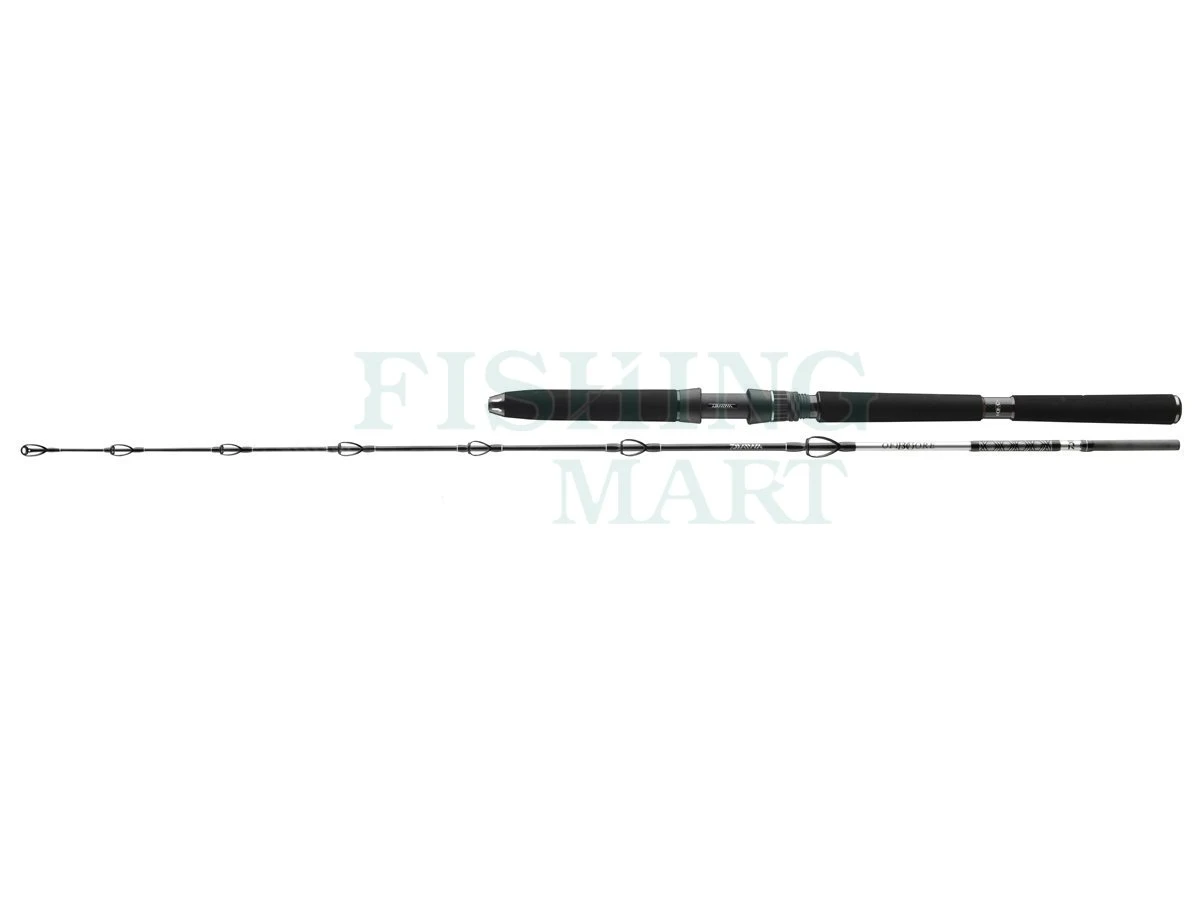 Daiwa Wędki Morskie BG Deep Sea 3 Daiwa Wędki Morskie BG Deep Sea