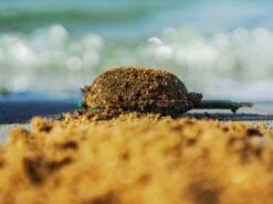 Zanęta CsuperL -sklep Daiwa zaneta csuperl fs