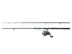 PENN Zestaw Legion Cat Bronze Allround Combo